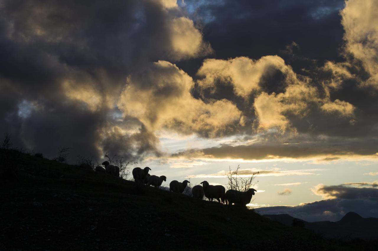 Fattoria Bio L'A Ceccoli Villa Sasso Feltrio ภายนอก รูปภาพ