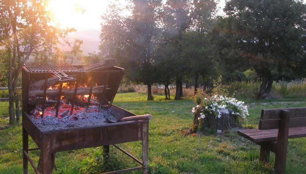 Fattoria Bio L'A Ceccoli Villa Sasso Feltrio ภายนอก รูปภาพ